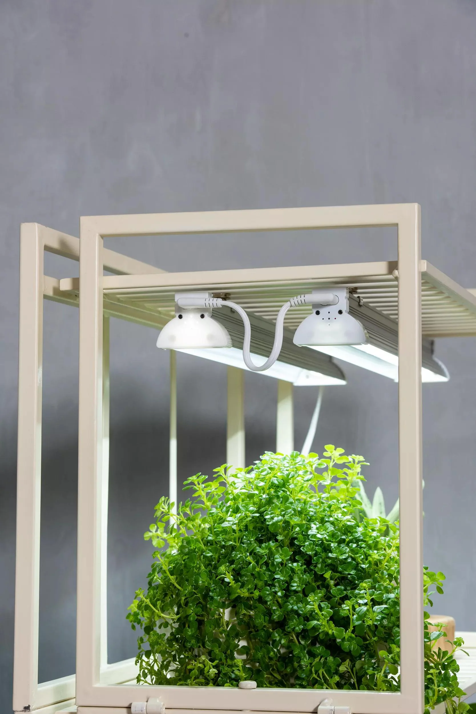 Oslo™ 2' LED High Output Replacement Fixtures with Magnetic Clips, Set of 2