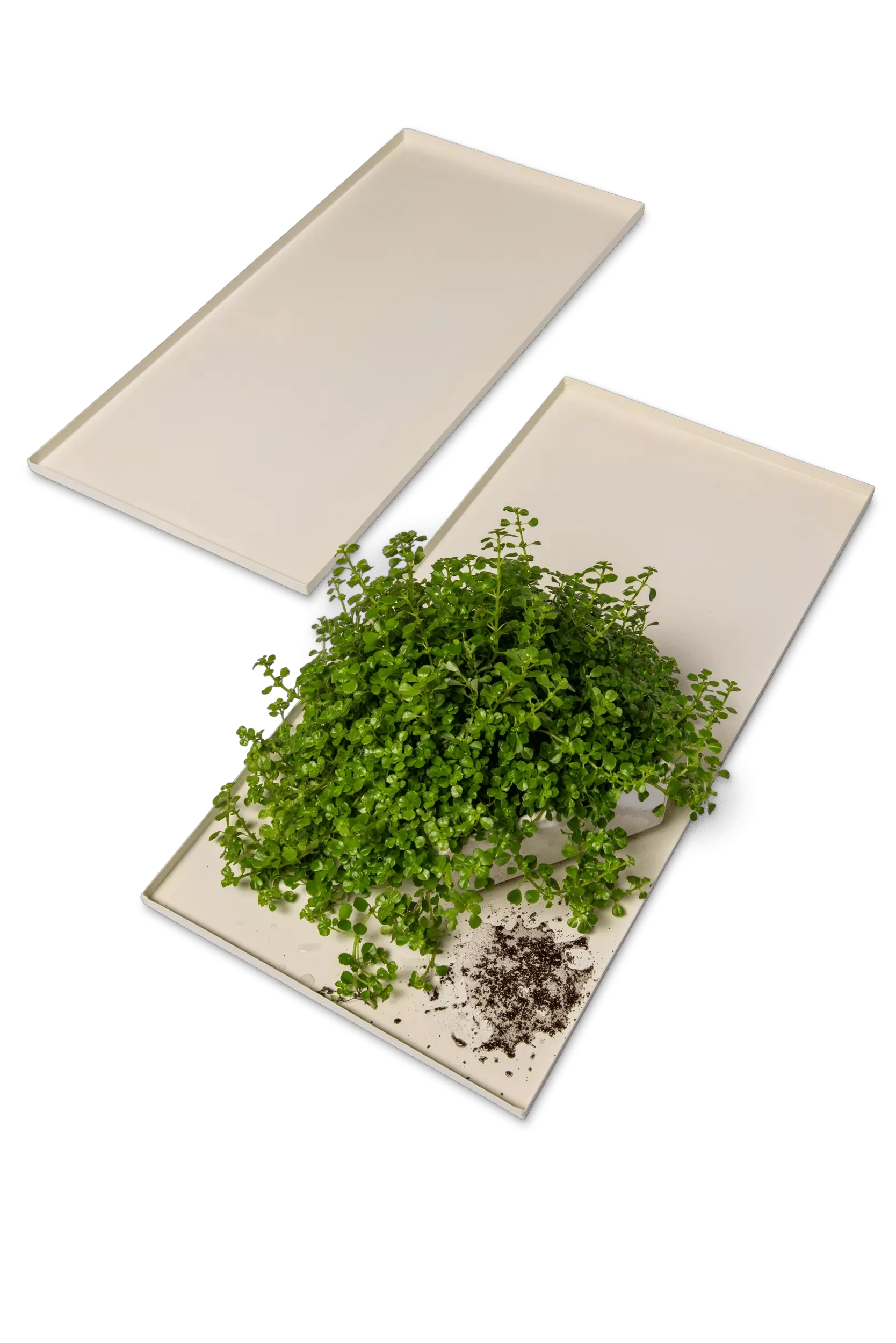 Oslo™ Grow Light Garden Trays, Set of 2