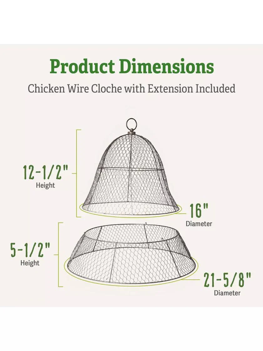 99-chicken-wire-cloche-with-extension-2.webp Chicken Wire Cloche with Extension