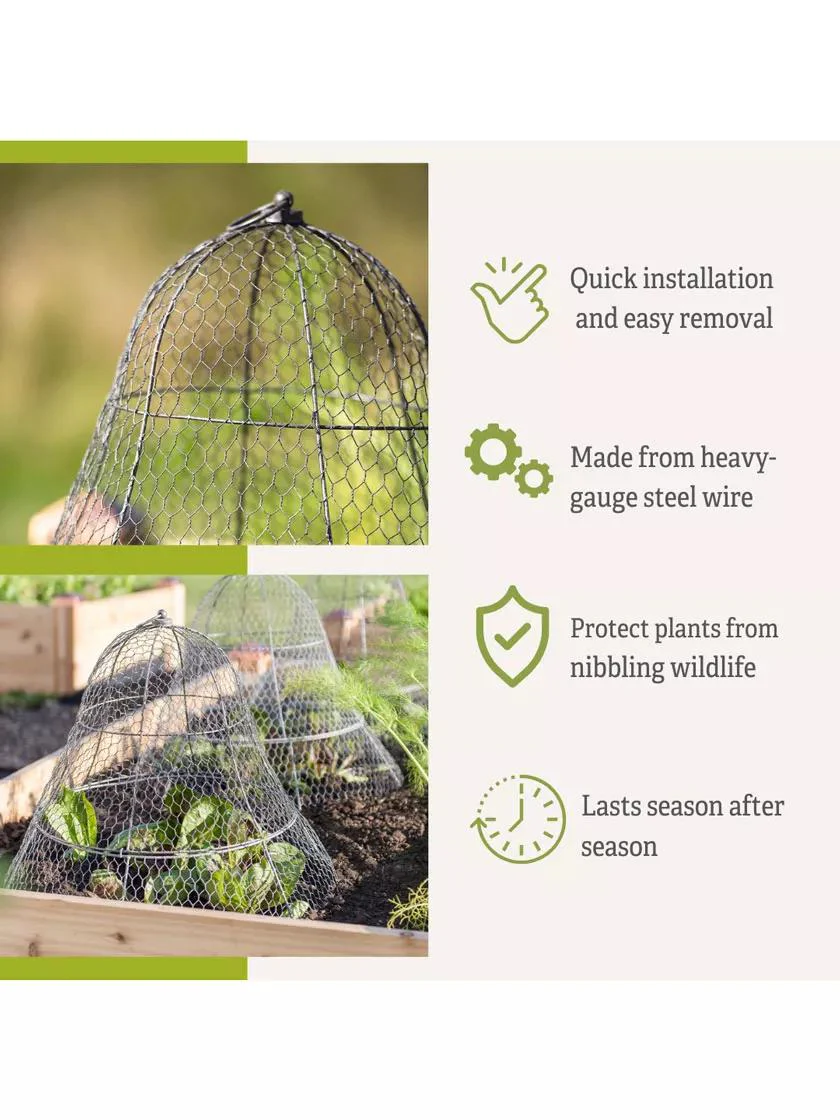 99-chicken-wire-cloche-with-extension-3.webp Chicken Wire Cloche with Extension