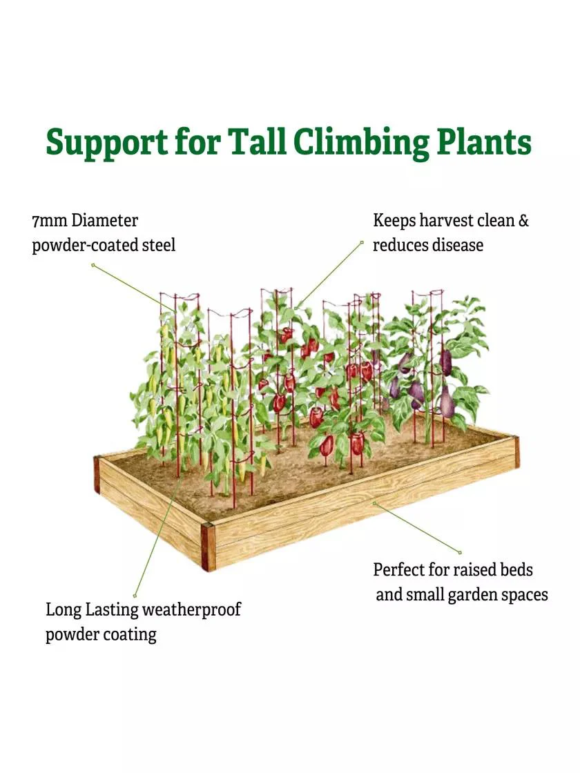 Pepper and Eggplant Ladders, Set of 3