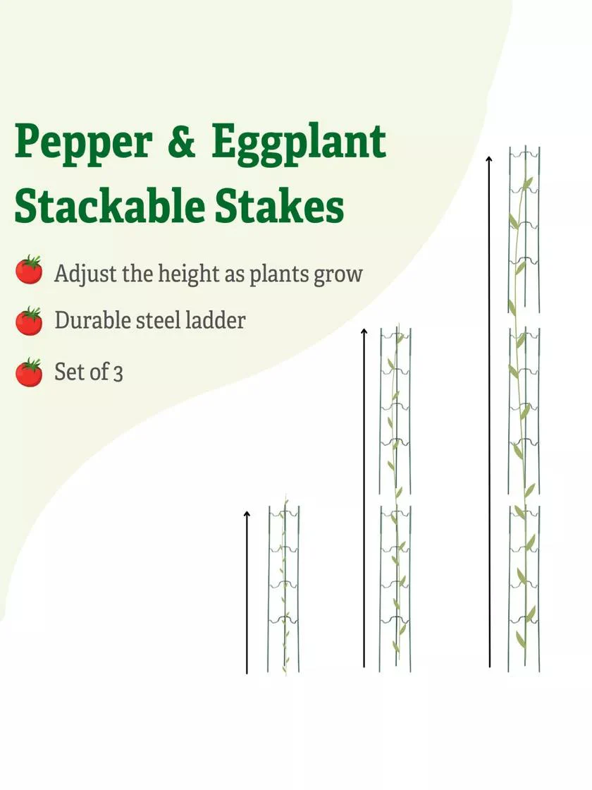 Pepper and Eggplant Ladders, Set of 3