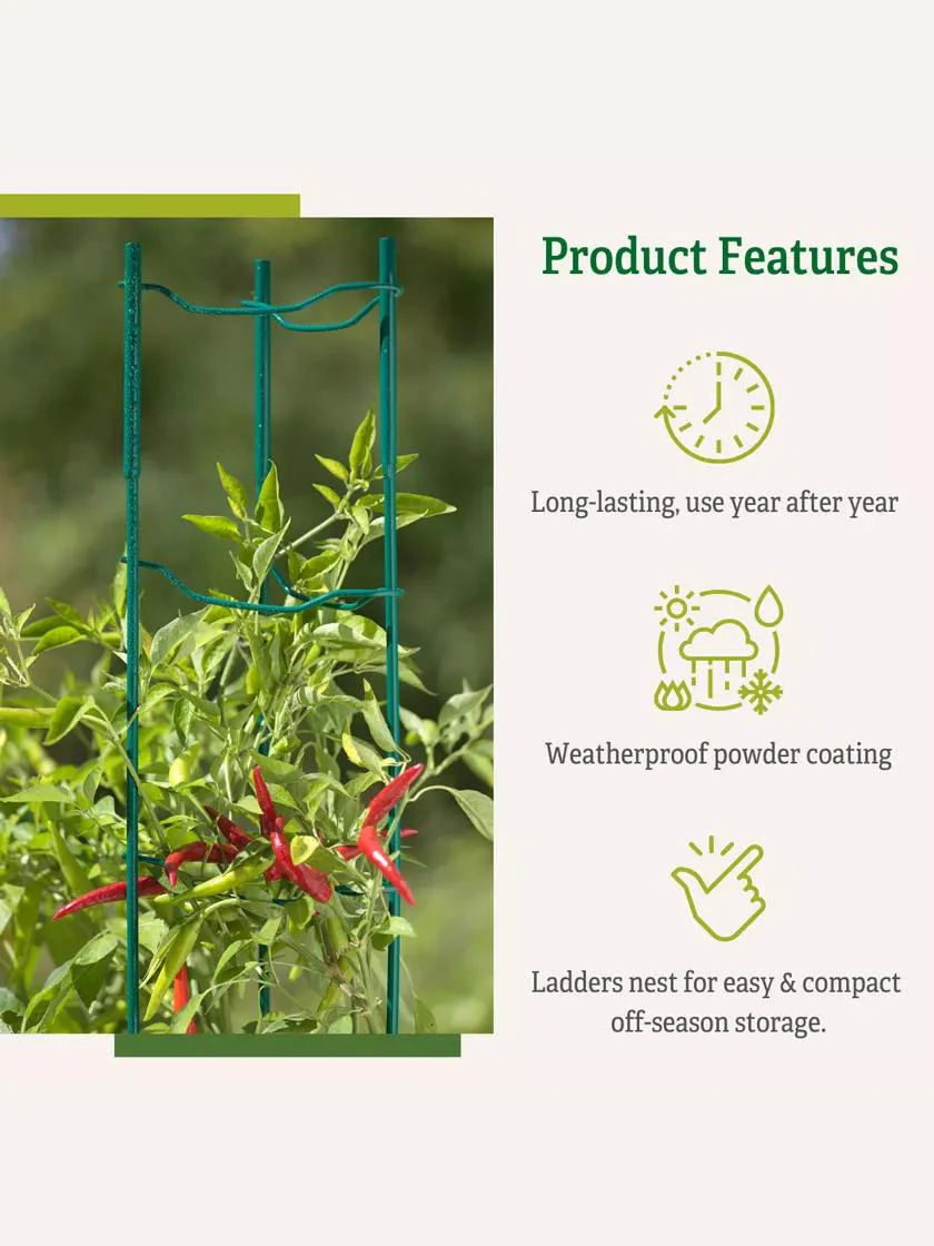 Pepper and Eggplant Ladders, Set of 3