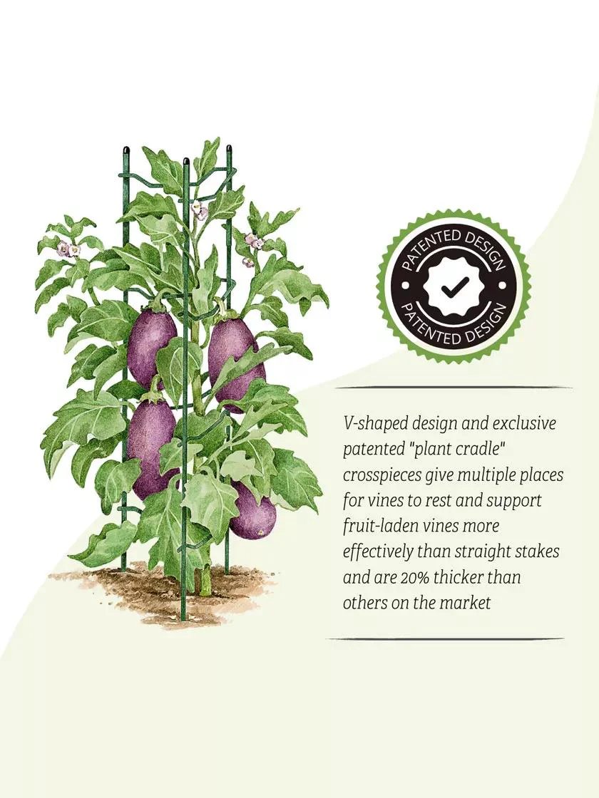 Pepper and Eggplant Ladders, Set of 3