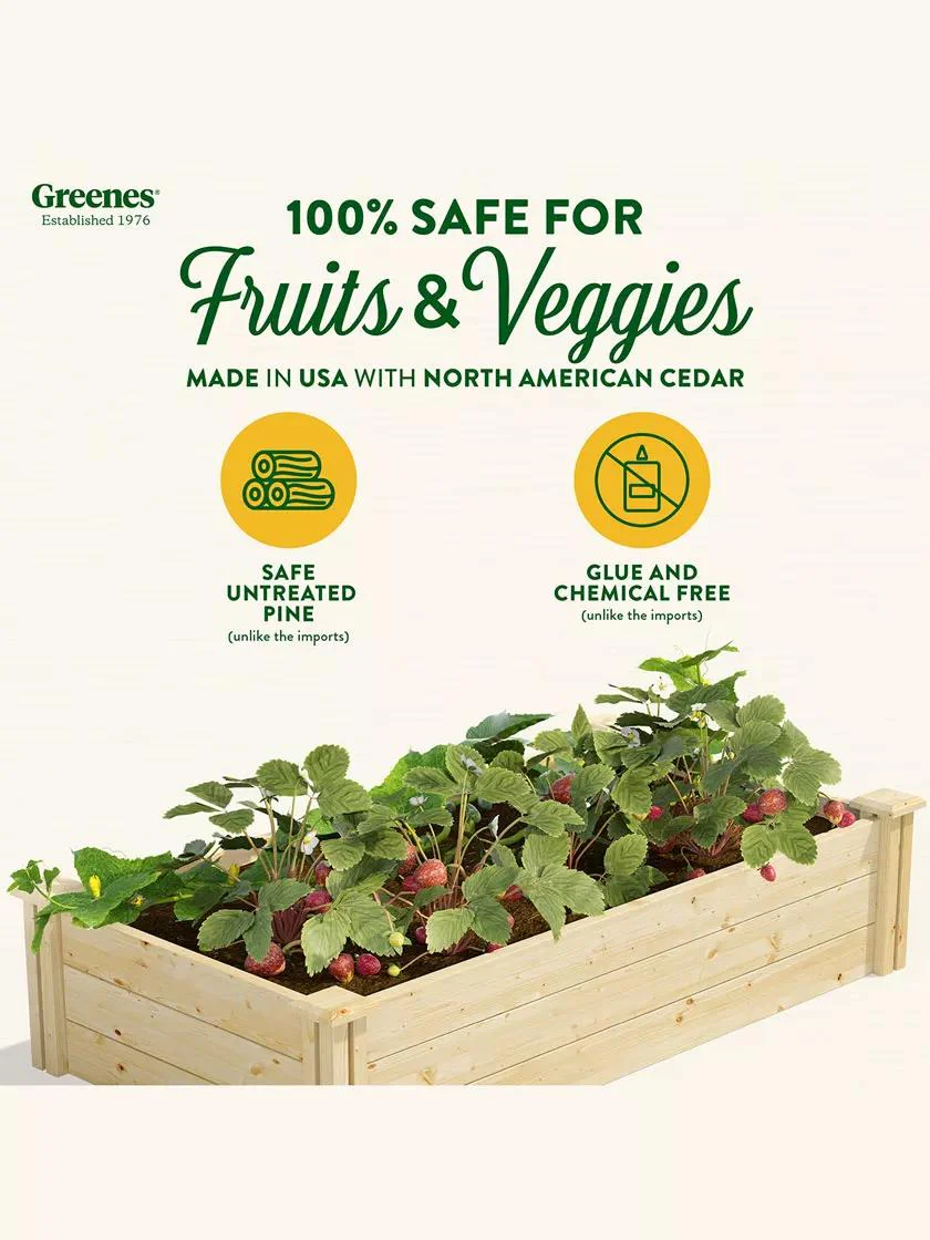 Pine Raised Garden Bed, 2'x4'x10.5" High